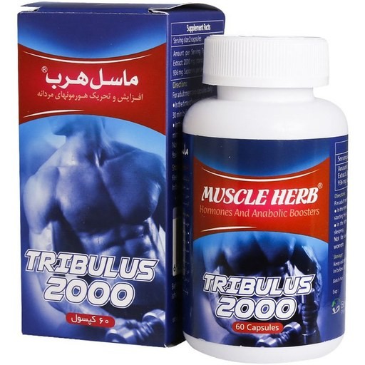 ماسل هرب کپسول